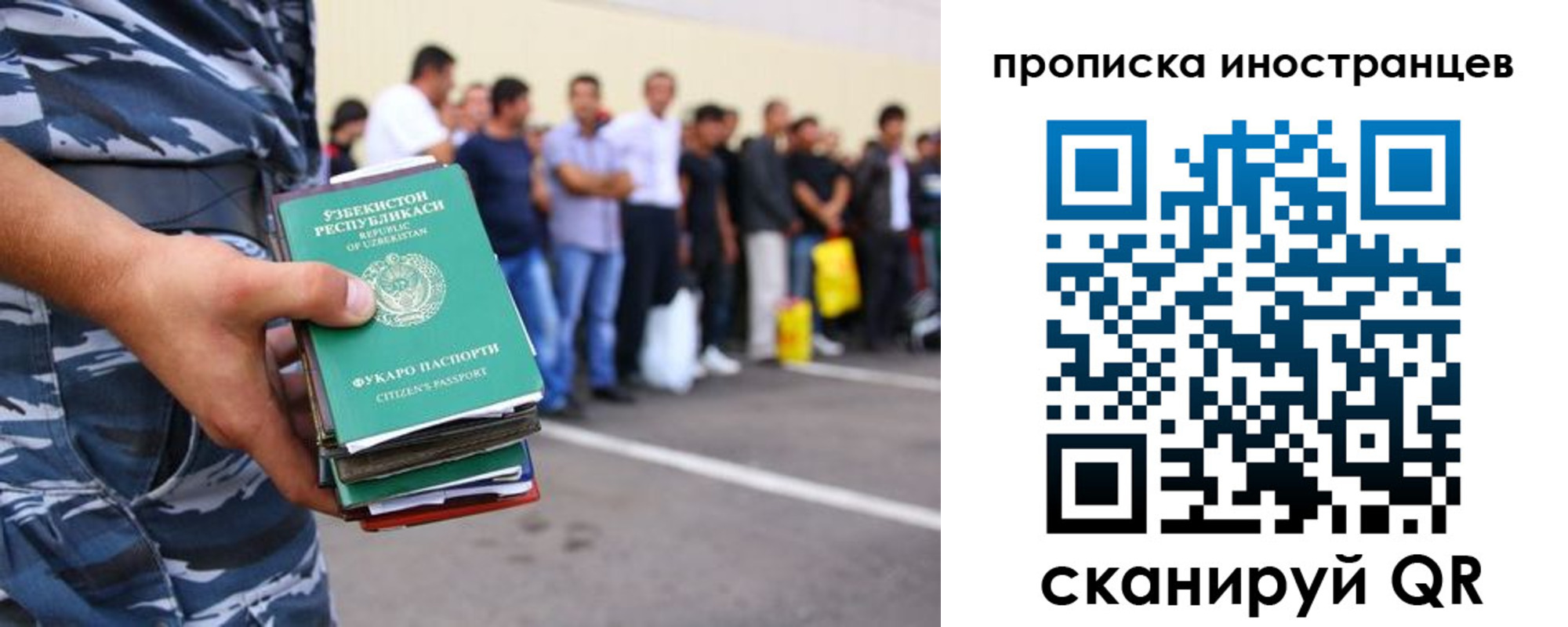 прописка паспорт в Полярных Зорях